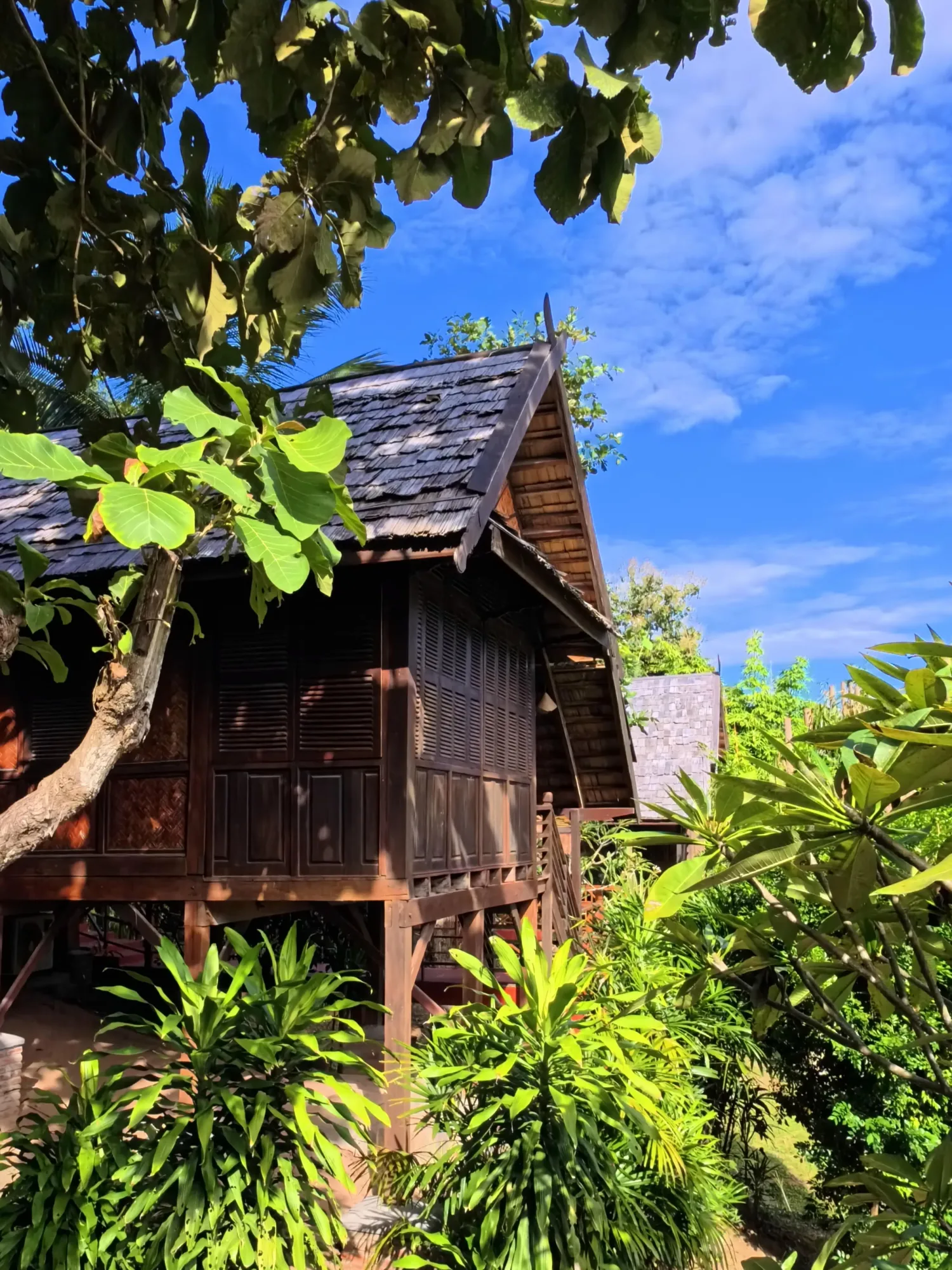 Teak-and-rosewood bungalow on stilts among garden foliage under a blue sky