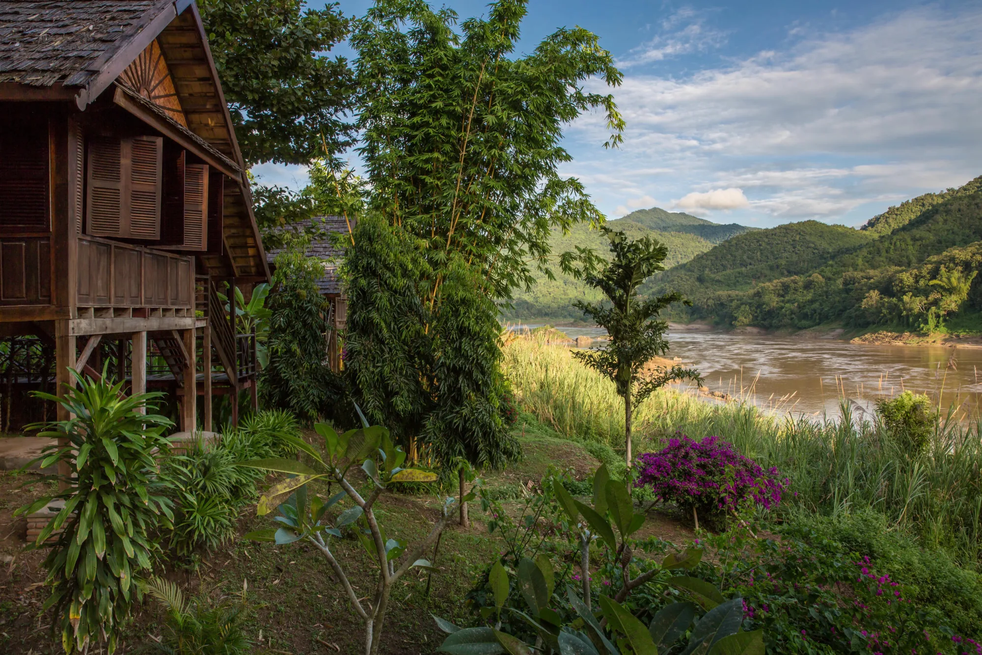 Riverside garden with bamboo and bougainvillea between the bungalows and the Mekong