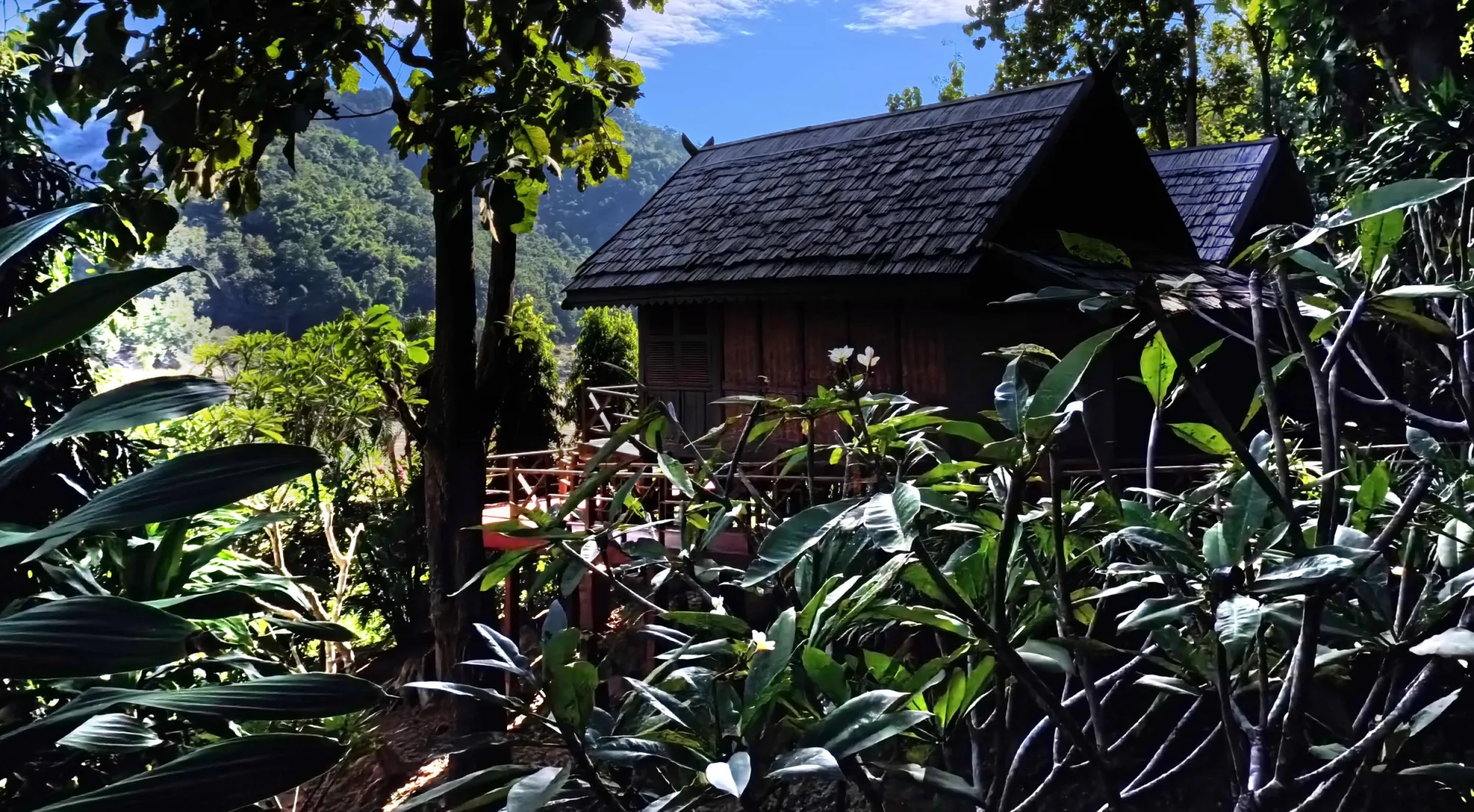A traditional Laotian bungalow roof seen through dense tropical foliage, with forested hills rising behind Luang Say Lodge
