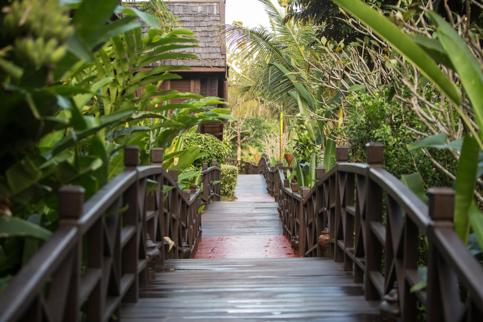 A wooden walkway through tropical gardens at Luang Say Lodge, leading past a bungalow toward the riverbank